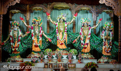 Daily Darshan