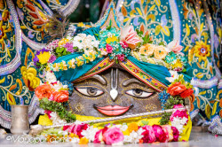 Daily Darshan