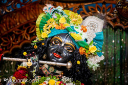 Daily Darshan