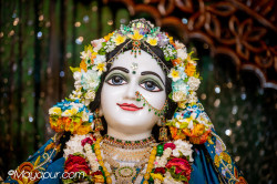 Daily Darshan