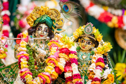 Daily Darshan