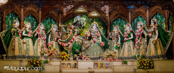 Daily Darshan
