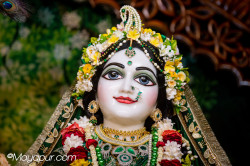 Daily Darshan