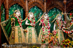 Daily Darshan