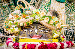 Daily Darshan