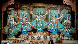 Daily Darshan