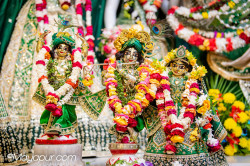 Daily Darshan