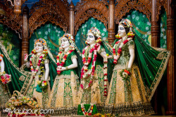 Daily Darshan