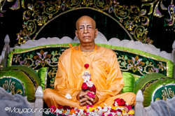 Daily Darshan