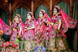 Daily Darshan