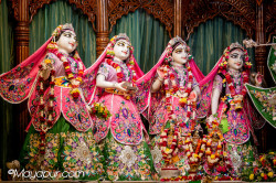 Daily Darshan