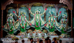 Daily Darshan