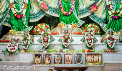 Daily Darshan