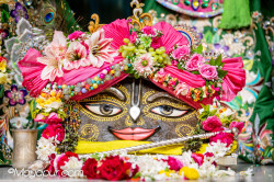 Daily Darshan