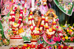 Daily Darshan