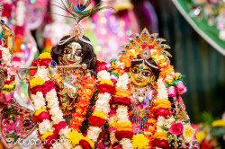 Daily Darshan