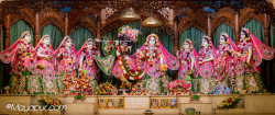 Daily Darshan