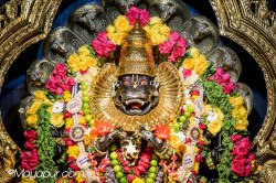 Daily Darshan