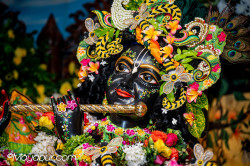 Daily Darshan