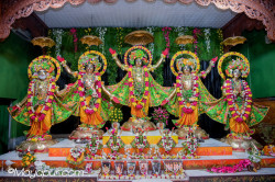 Daily Darshan
