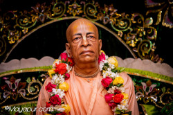 Daily Darshan