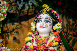 Daily Darshan