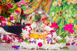 Daily Darshan