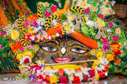Daily Darshan