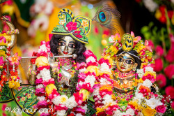 Daily Darshan
