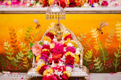 Daily Darshan