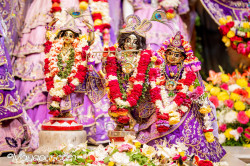 Daily Darshan