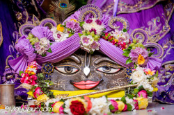 Daily Darshan