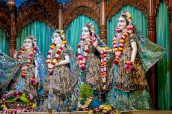 Daily Darshan