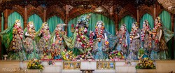 Daily Darshan