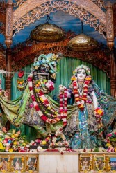 Daily Darshan