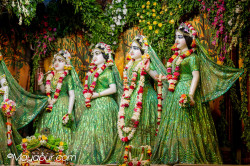 Daily Darshan