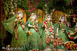 Daily Darshan