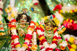 Daily Darshan