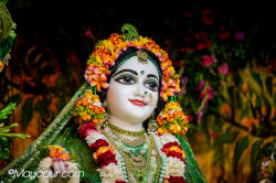 Daily Darshan