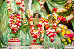 Daily Darshan