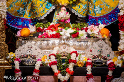 Daily Darshan