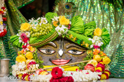 Daily Darshan