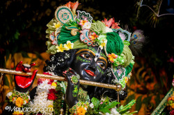 Daily Darshan
