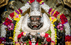Daily Darshan