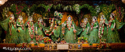 Daily Darshan