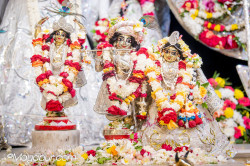 Daily Darshan