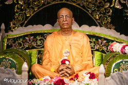 Daily Darshan