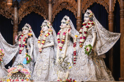 Daily Darshan