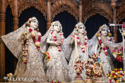 Daily Darshan