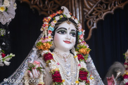 Daily Darshan